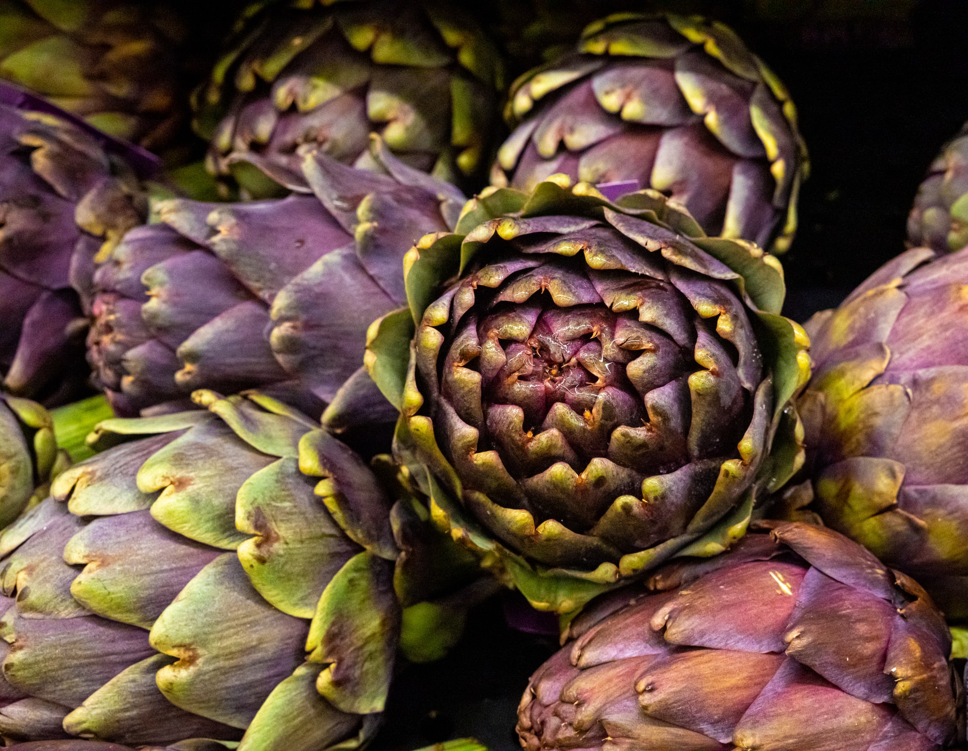 artichokes